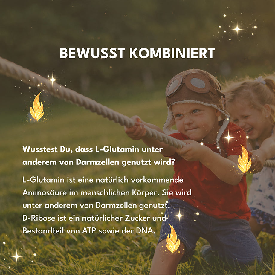 Drachenpower | L-Glutamin